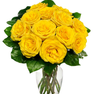 11 yellow roses
